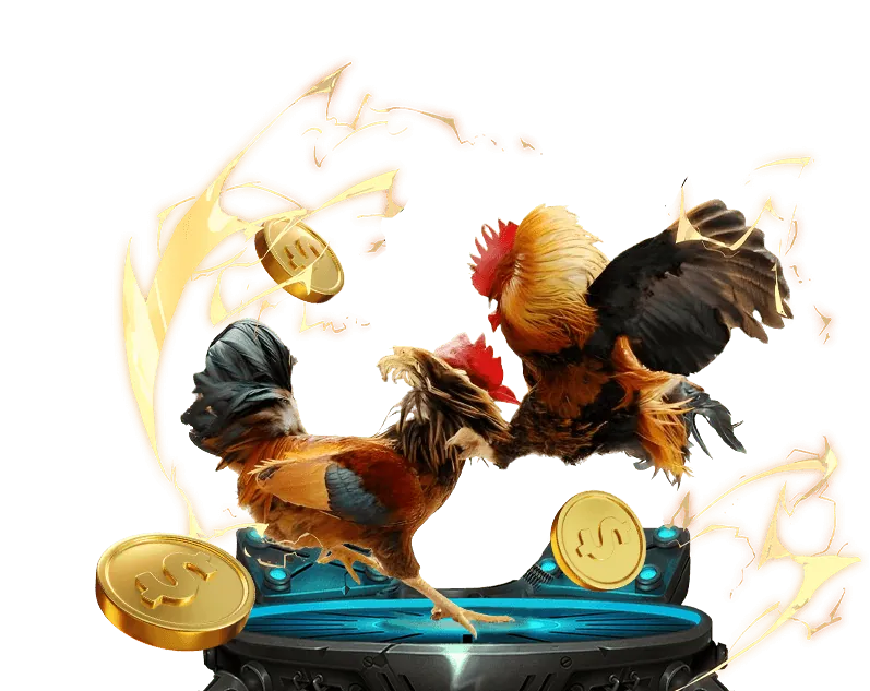 Hỗ trợ FAQ 56win